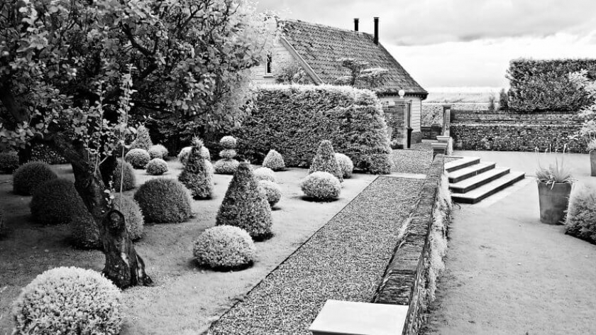 Hedge sculpturing Infra Red