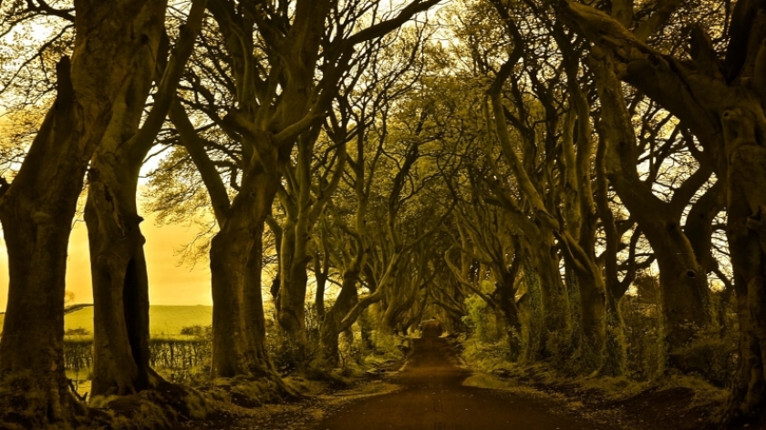 Ireland
